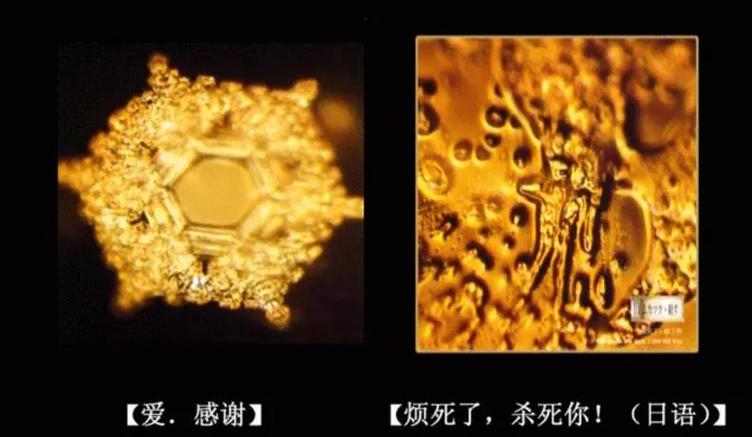 想了解多特蒙德城市？这里有你最想知道的答案