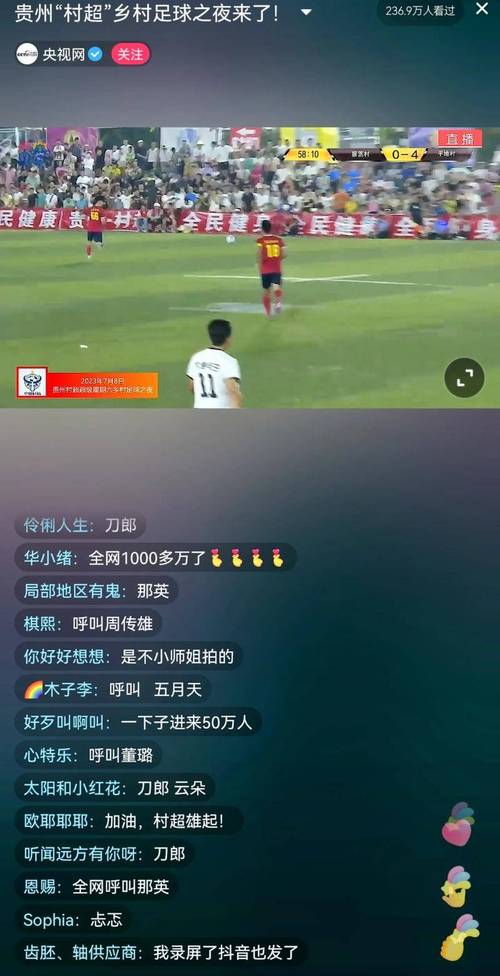 各平台世界杯观看方式大比拼，世界杯怎么看？
