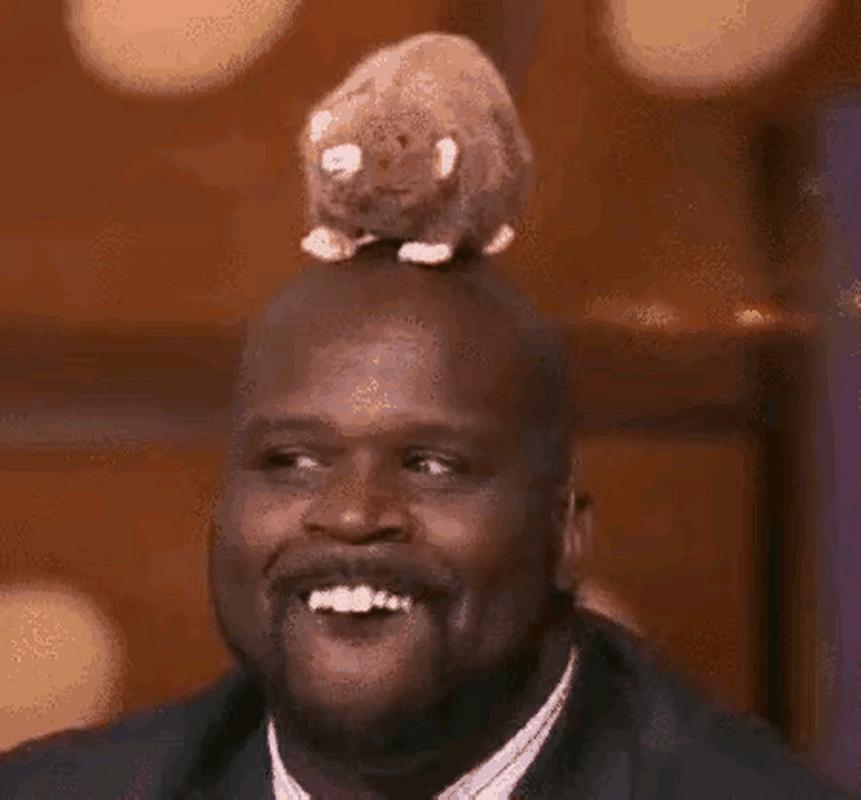NBA谁最搞笑？盘点那些自带笑点的球星！
