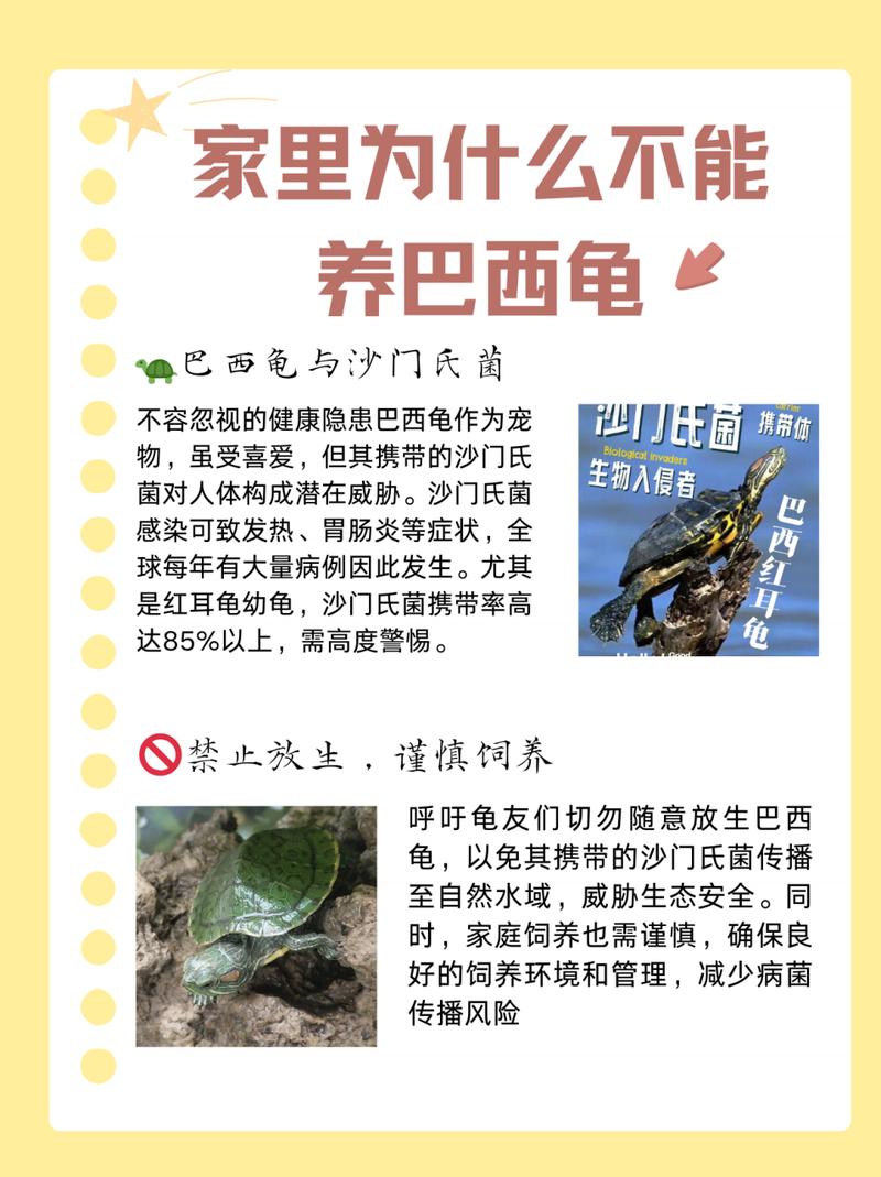 巴西龟真的不能养吗？看看专家怎么说！