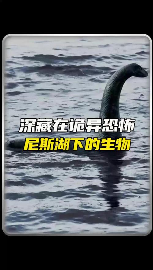 尼斯湖水怪是真的吗？百年未解之谜，真相究竟如何？