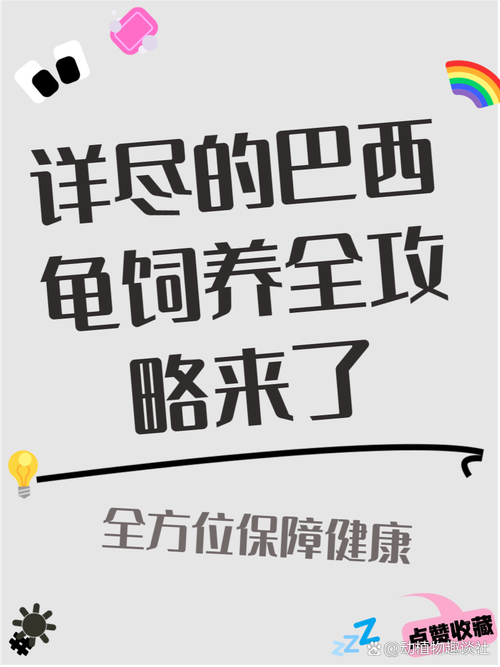 巴西龟真的不能养吗？看看专家怎么说！