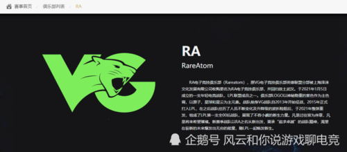 VG改名RA的真正原因是什么？深度解析！