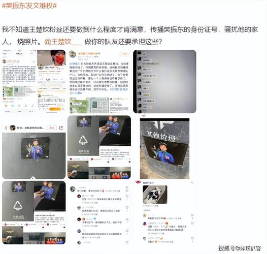 樊振东被网暴的深层原因：饭圈乱象需警惕