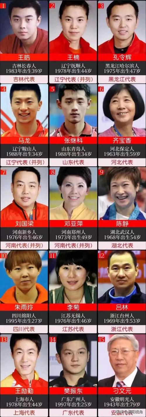 中国乒乓球：谁是真正的NO.1？实力排名大比拼！