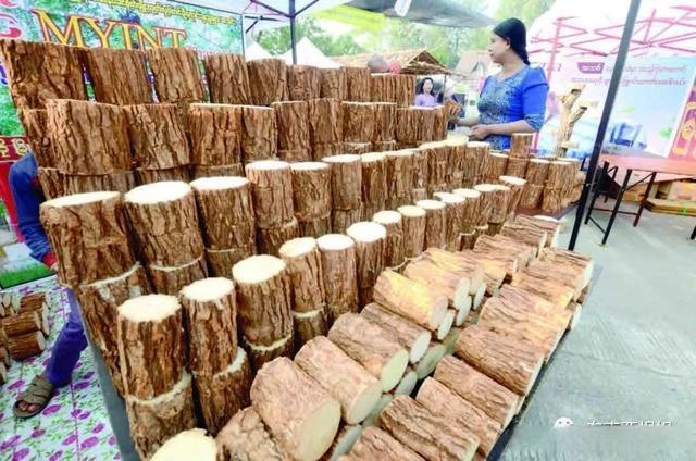 特纳卡是什么？揭秘缅甸女性的天然美容秘方