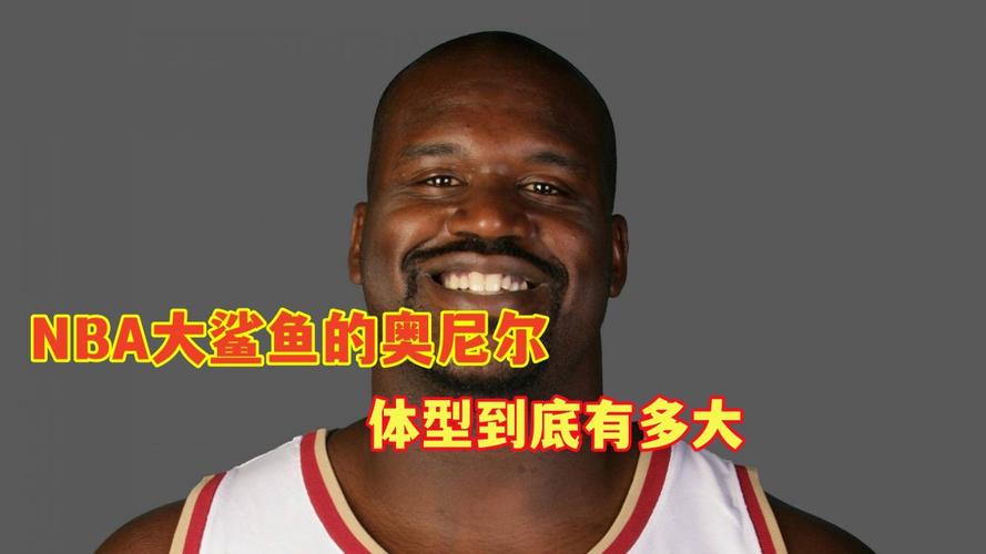 大鲨鱼奥尼尔很小？这绝对是个天大的误会！