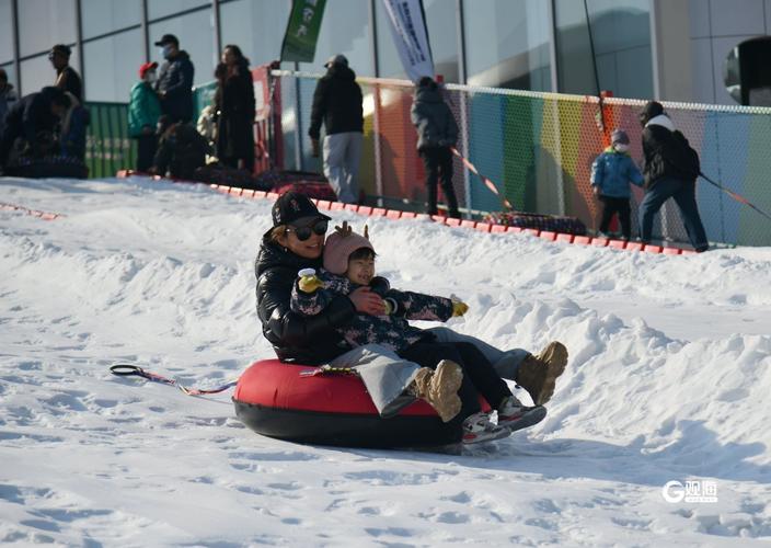 冬奥会项目有哪些？冰上雪上项目一网打尽