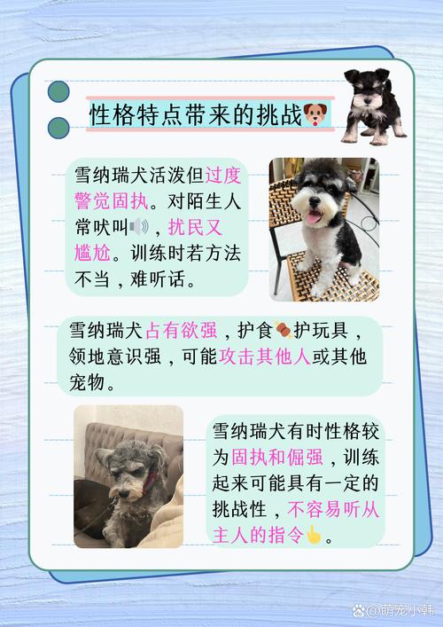 不建议养的10种狗：它们真的不适合你？