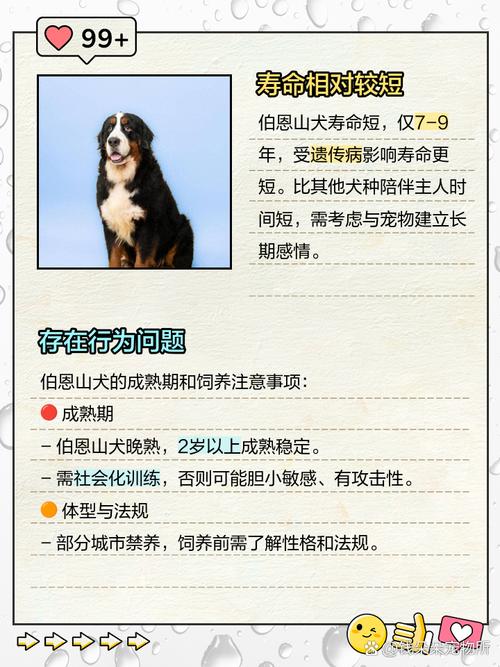 不建议养的10种狗：它们真的不适合你？