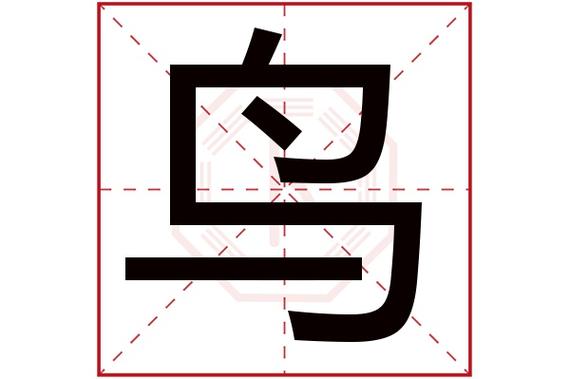 傻傻分不清路加鸟？教你正确读音和含义！
