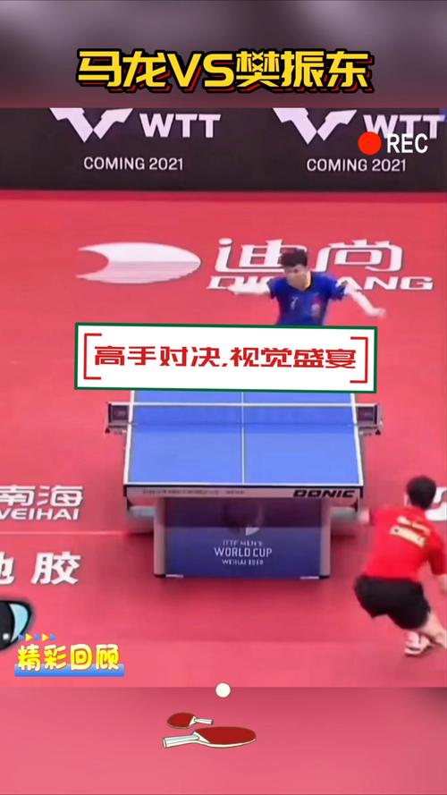 樊振东对战马龙胜负几回？揭秘两人交手记录