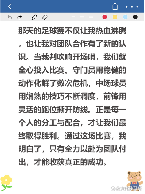 中国足球世界杯：只进过一次？背后的故事与反思