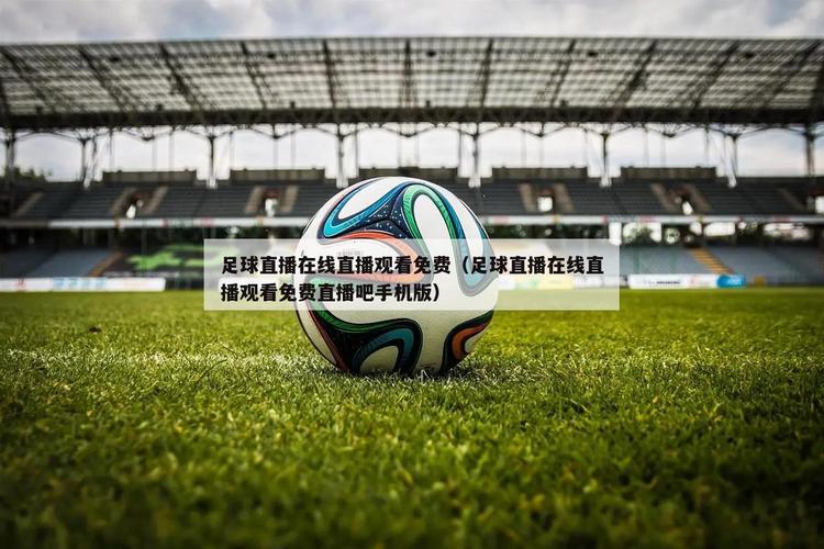 哪里可以免费看足球赛事直播？推荐几个靠谱网站！