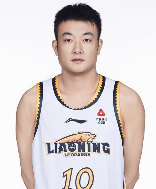 丛明晨多大年纪退役？回顾他的篮球生涯和辉煌战绩