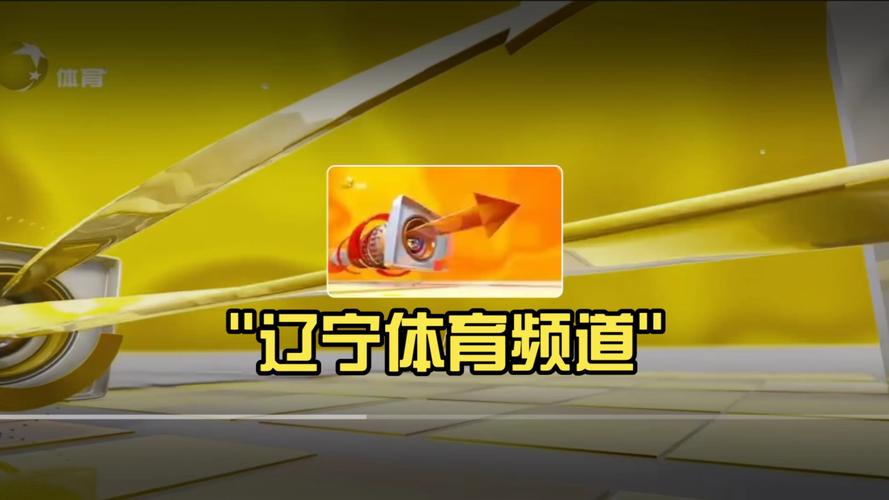 如何收看辽宁篮球比赛？电视和网络直播指南！