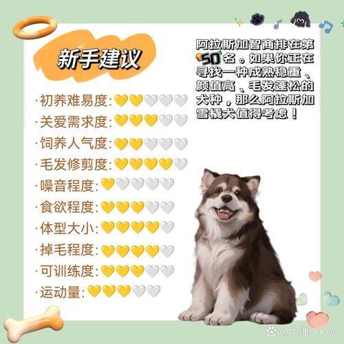 养阿拉斯加犬之前必看：阿拉斯加犬的体型和生长规律