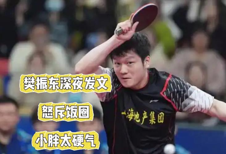 樊振东被网暴的深层原因：饭圈乱象需警惕