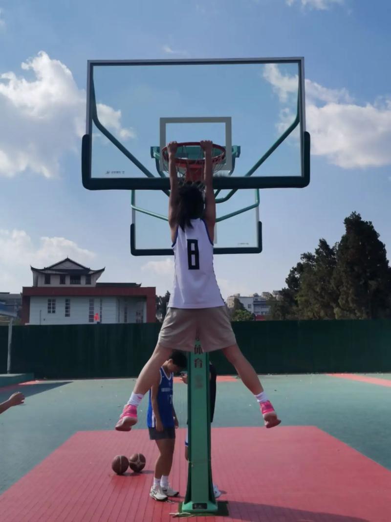 白乔丹有多高？揭秘扣篮高手真实身高