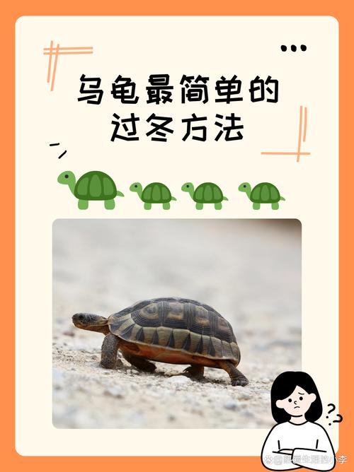 巴西龟冬眠时间：详解巴西龟几月份开始冬眠？