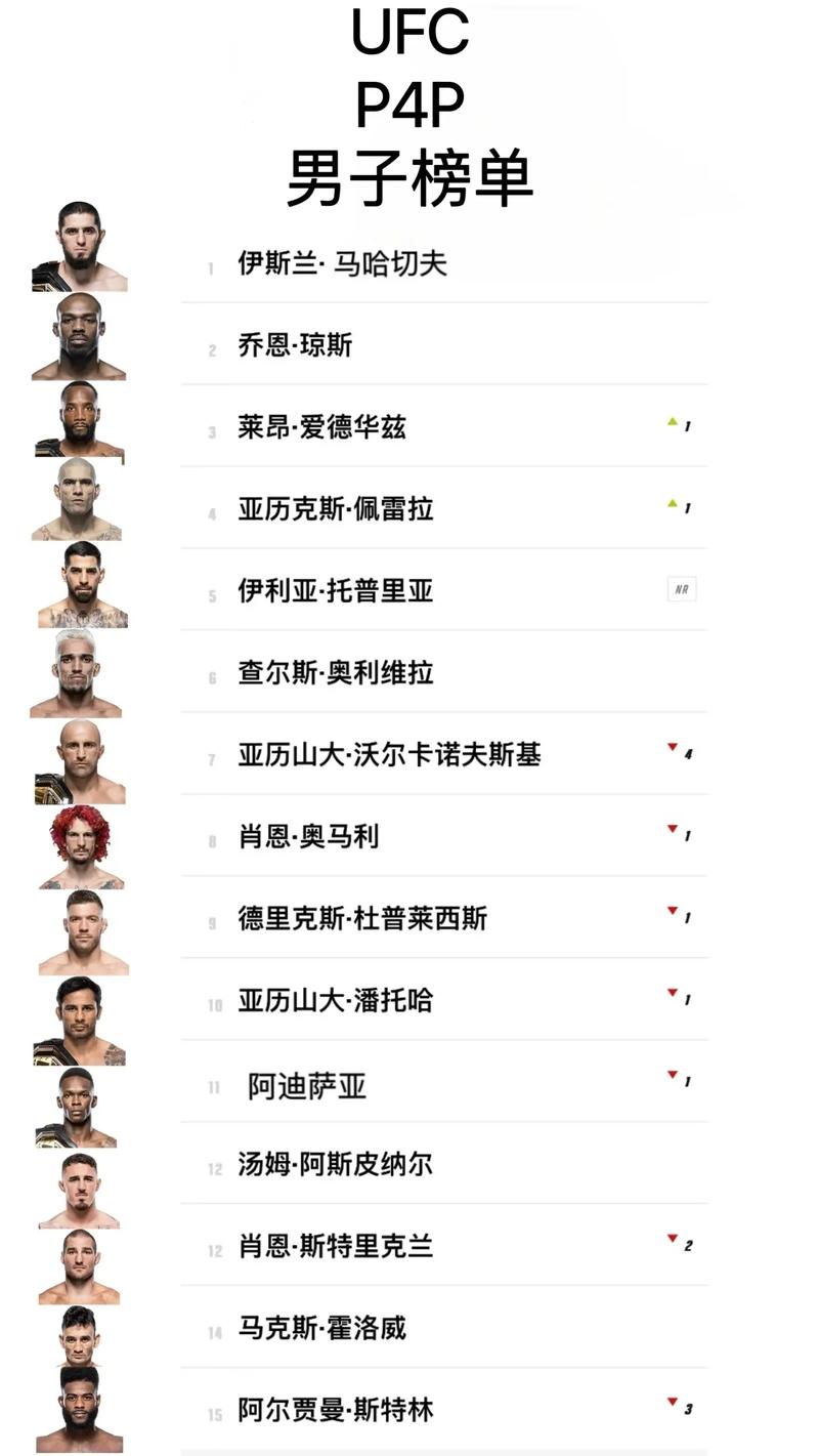 想知道UFC冠军奖金有多少？看完你就明白了！