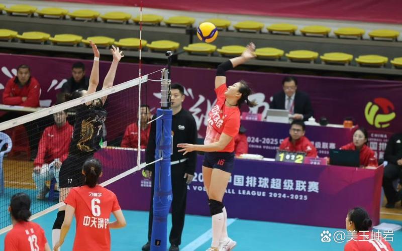 女排比赛安排2024-2025：今年都有哪些重要赛事？