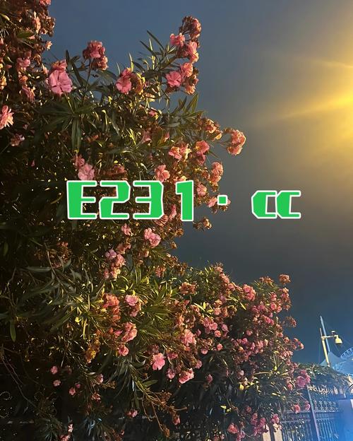 买球赛在哪个平台买？靠谱的购彩平台推荐