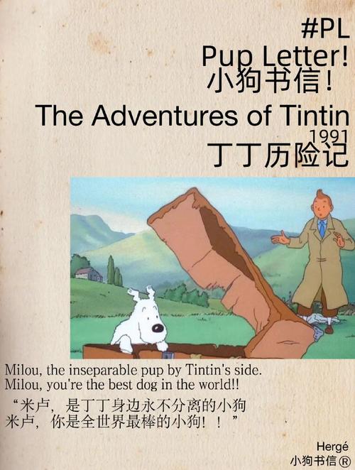 揭秘凯文马丁的身高：你不知道的秘密