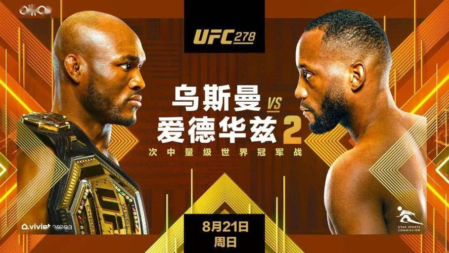 如何观看UFC比赛直播？简单方法快速找到观看渠道