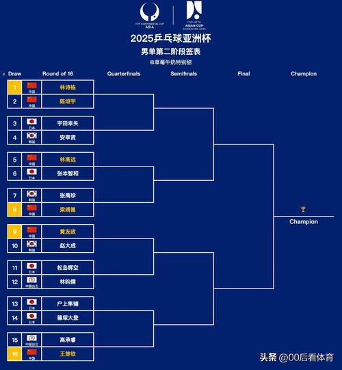 2018亚冠冠军球队是谁？赛程及精彩瞬间盘点
