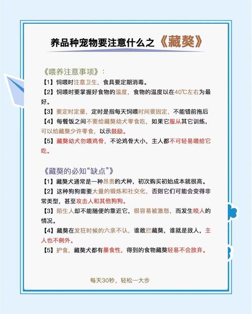 想养那不勒斯獒犬？先了解它的优缺点和饲养要点
