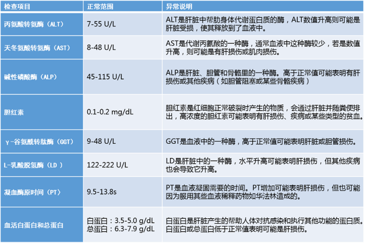 体检肝功能查哪些项目？快速了解肝脏健康状况