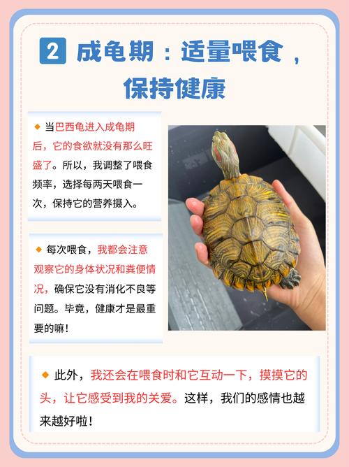 巴西龟真的不能养吗？看看专家怎么说！