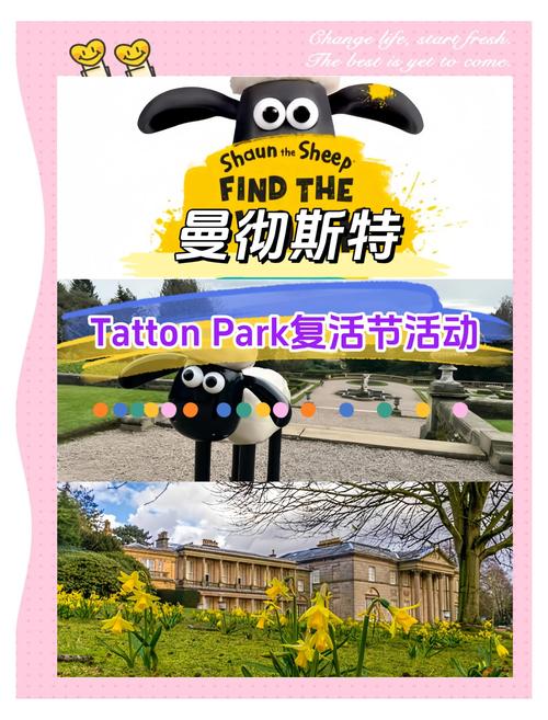 美国肖恩大揭秘：不同领域的肖恩都有谁？