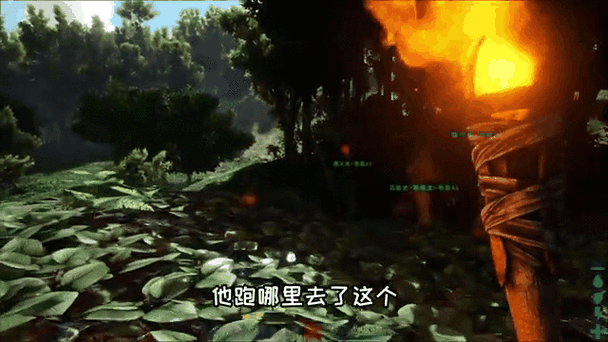 灭绝的阿根廷巨鹰：它是如何消失在历史长河中的？