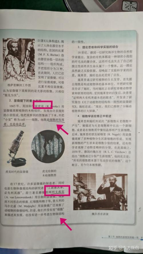 你知道列文虎克发明了什么吗？显微镜技术对人类的贡献
