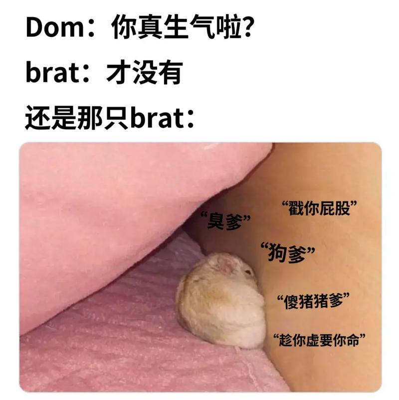 网络流行语“里昂”是什么梗？看完你就懂了！