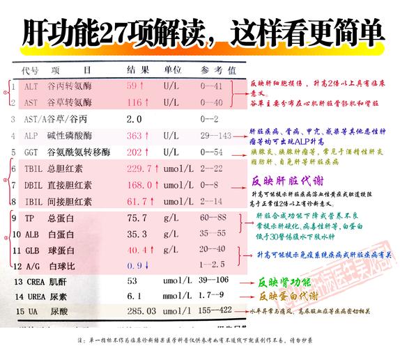 体检肝功能查哪些项目？快速了解肝脏健康状况