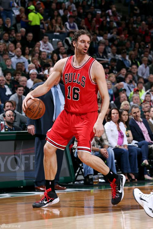 小加索尔获得过哪些冠军？他拿过NBA总冠军吗？