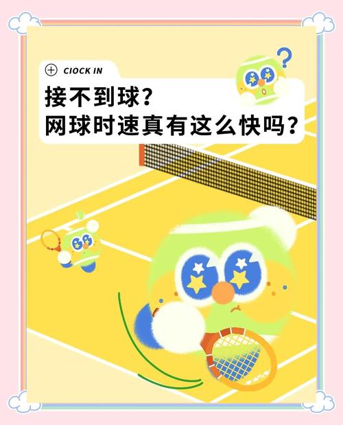 很少人玩网球的背后真相：高投入与低普及率的博弈