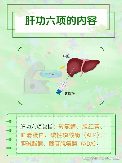 体检肝功能查哪些项目？快速了解肝脏健康状况