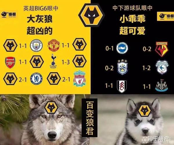 各国欧冠名额是怎么产生的？深度解析分配机制