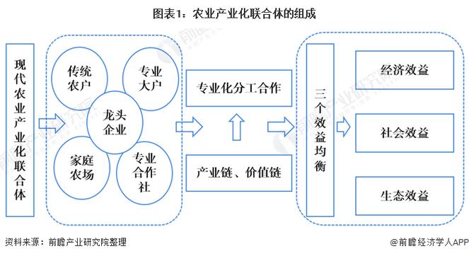 厄瓜多尔经济发展前景分析：机遇与挑战并存