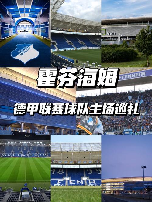 德甲球队霍芬海姆：为什么中国球迷都叫它“霍村”？
