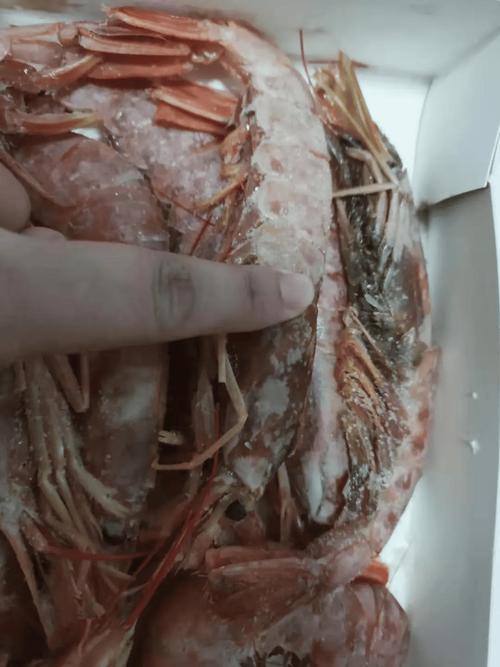想吃阿根廷红虾？虾头能不能吃？专家这样说