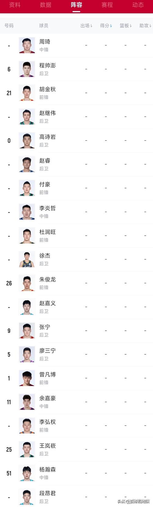 深度解析中国篮球明星阵容，那些你不知道的故事