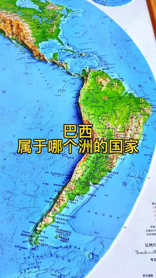 巴西是美国的小弟？经济与政治角度解读