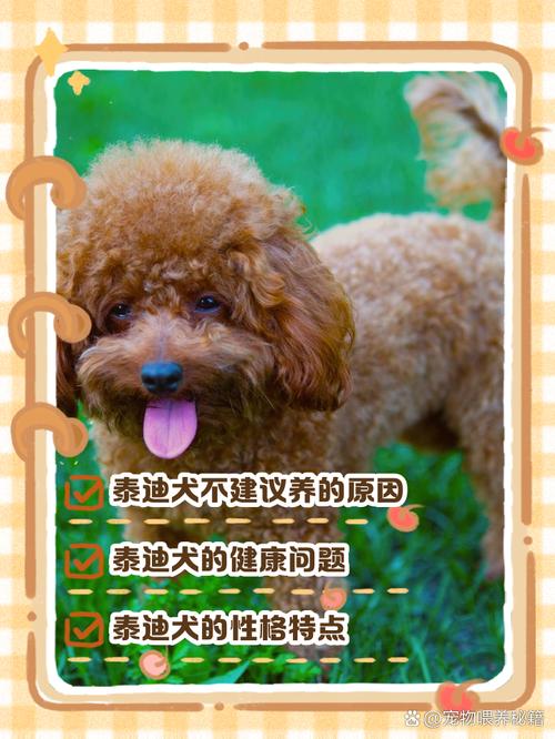 不建议养的10种狗：它们真的不适合你？