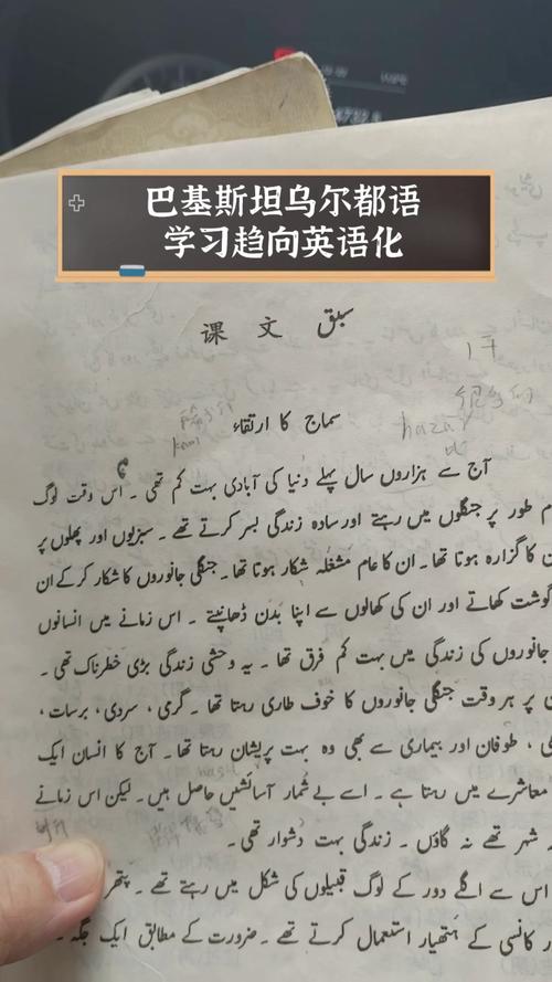 巴基斯坦说什么语言？详解官方语言及各地区语言差异