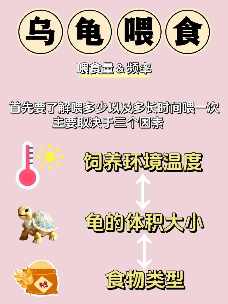 巴西龟喂养全攻略：食物选择和喂养技巧详解